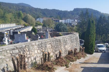 Pokopališče ciprese1